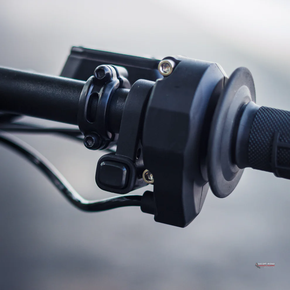 power of the E RIDE PRO SE "Fatty" edition