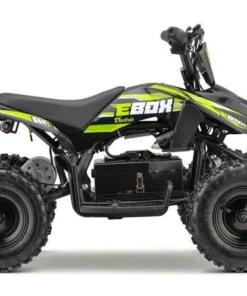 EBOX ACDC ELECTRIC WIRED 800W 36V Quad Bik